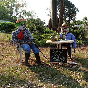 Mount Tamborine Scarecrows