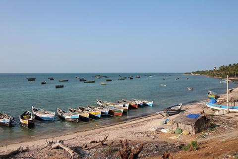 Fishing boats