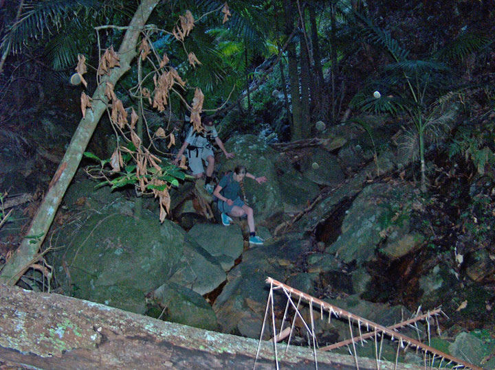 Ned & Bronwen tuck in the jungle as darkness gathers, on the way down Mt Barney