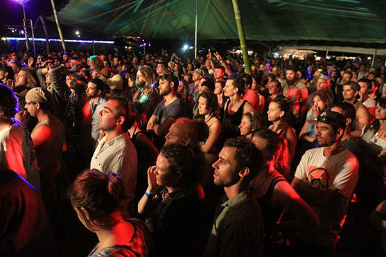 Crowds at Island Vibe Festival