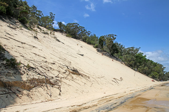 Moreton Island