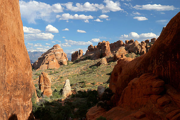 Looking through Devil’s Garden