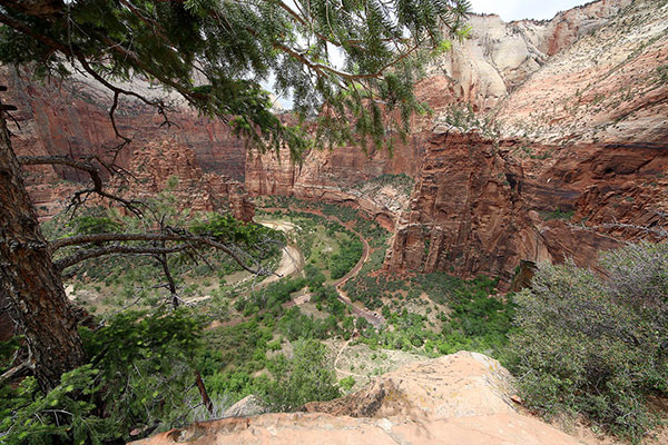 Looking down into Zion Canyon