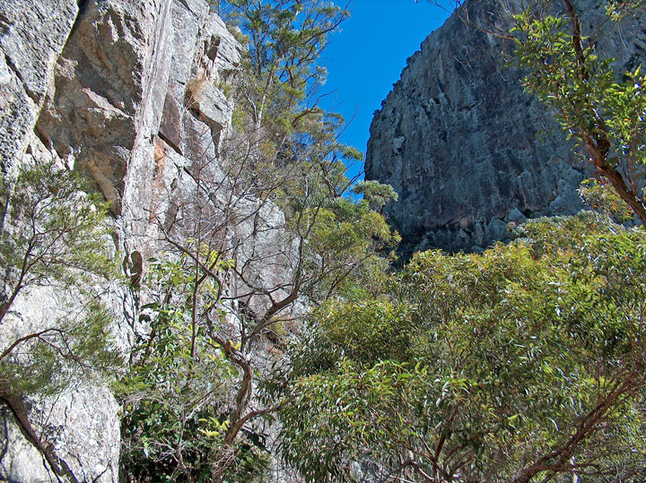 Bushwalk up Mt Maroon