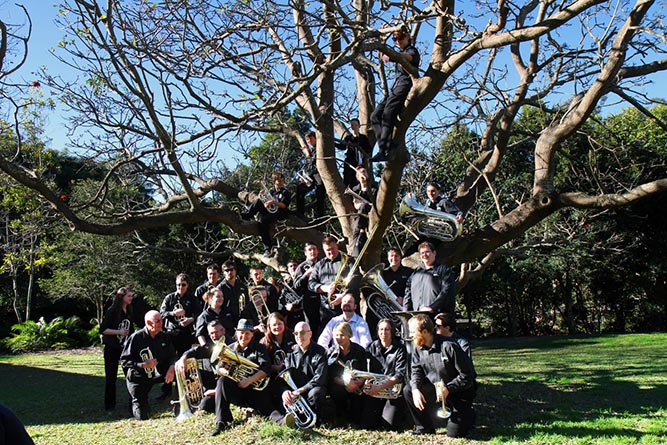 Bands in the Park, Mt Coot-Tha Botanical Gardens