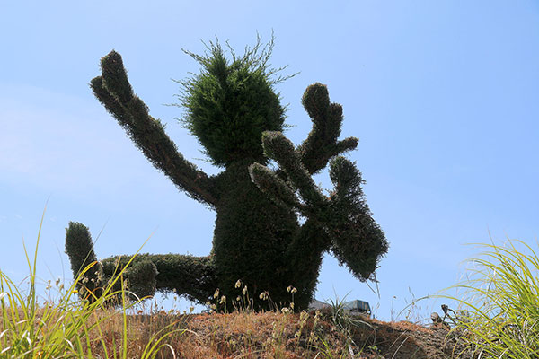 An interesting tree sculpture