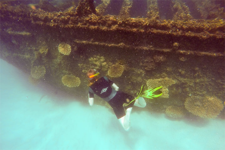Snorkelling at Tangalooma Wrecks on Moreton Island