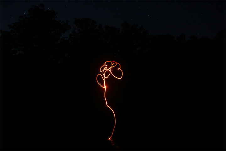 Bronwen light painting