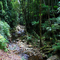 Coomera Creek