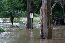 “No Standing”–Flooding of the Brisbane River at College’s Crossing