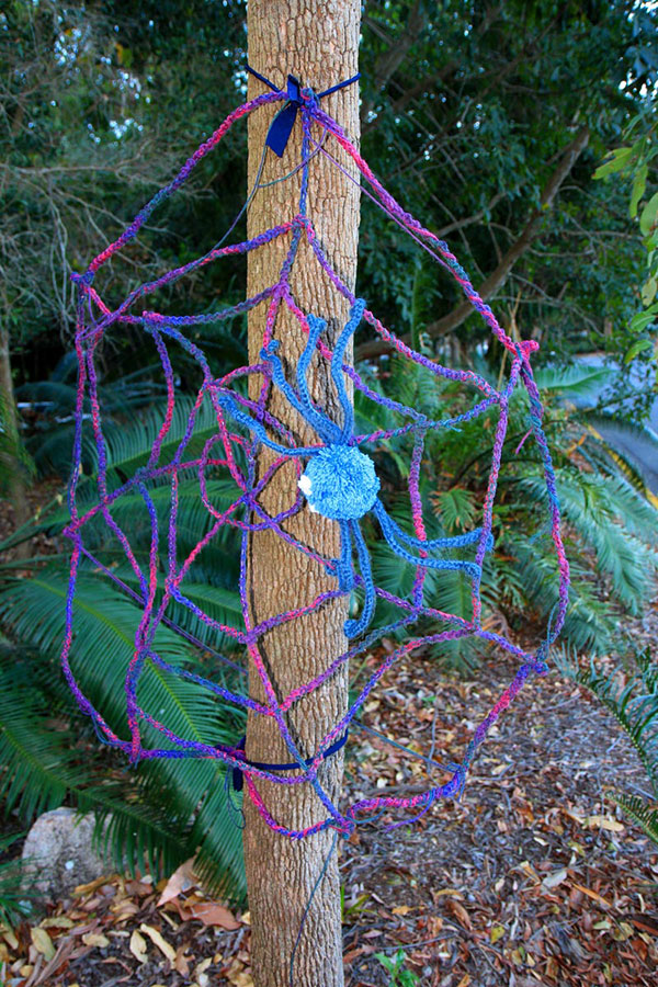 Spiderwebs, Mount Coot-Tha Botanic Gardens