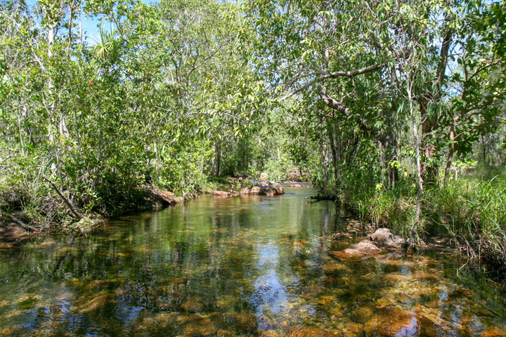 Shady Creek, Northern Territory