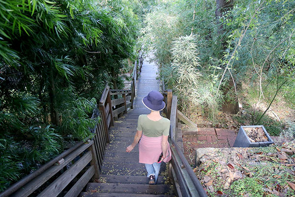 Bronwen walking down to the wharves from Coit Tower