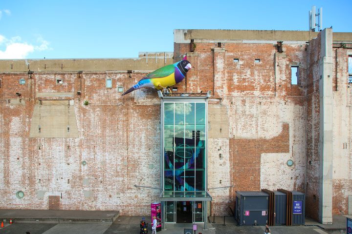 Messenger Bird (Brisbane Festival), Brisbane Powerhouse