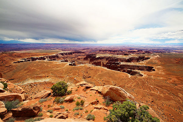 Canyons etched into the ground