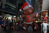 Myer Christmas Parade and Pantomime