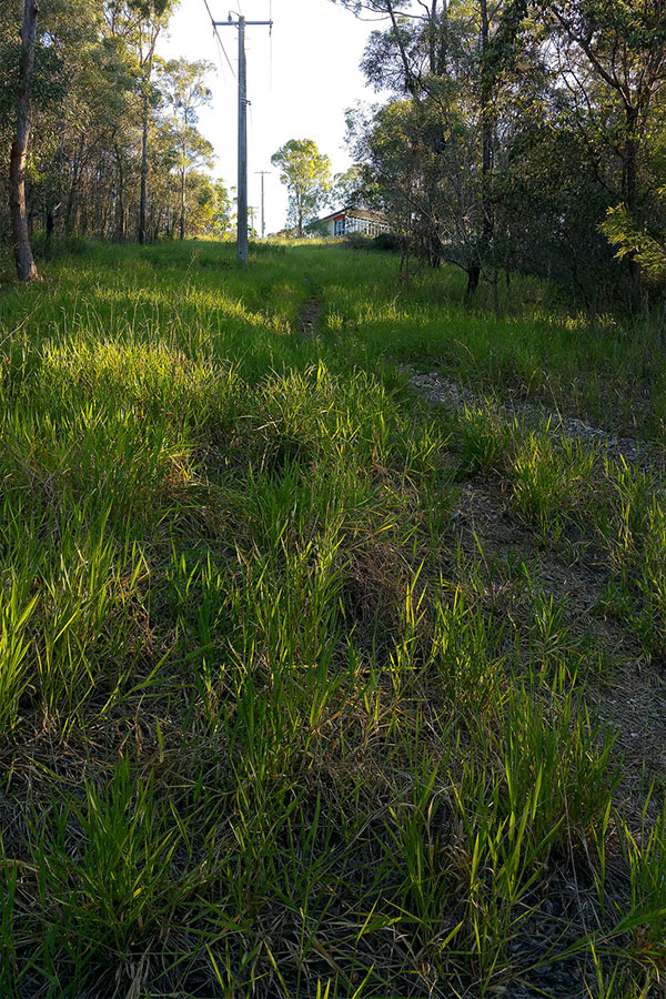 Walking up Mount Gravatt