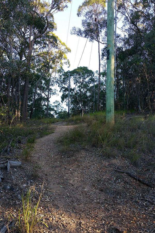 Walking up Mount Gravatt