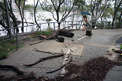 Bronwen & debris on the bike path along Brisbane River