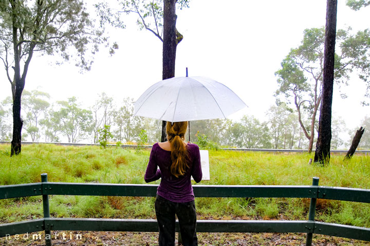 Bronwen, Tooloom National Park, NSW