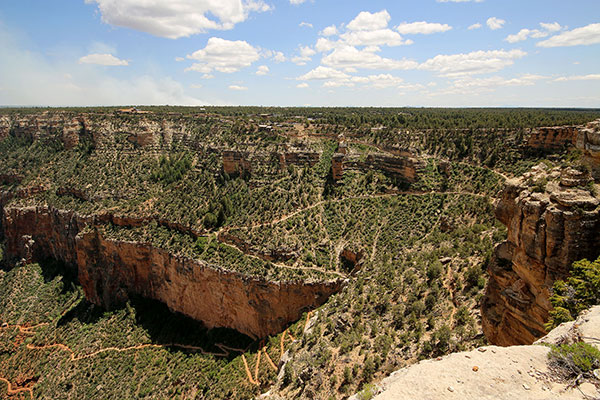 Part of the path Bronwen walked down into the Grand Canyon