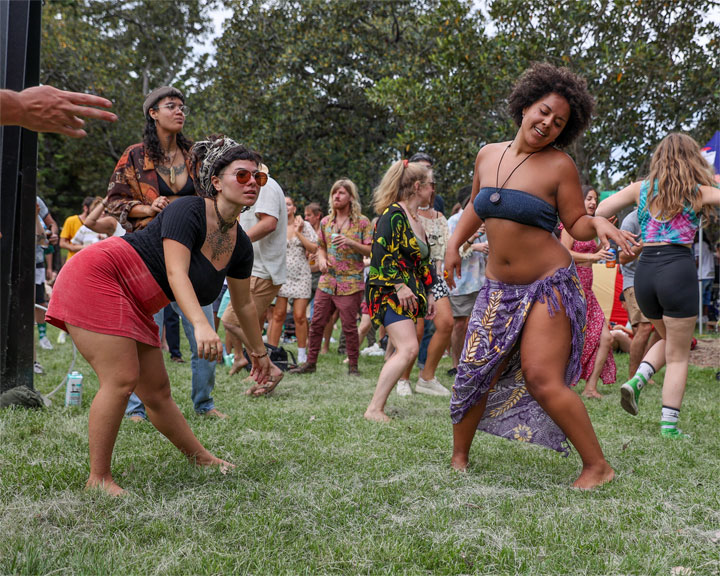 Meanjin Reggae Festival, Musgrave Park, Brisbane