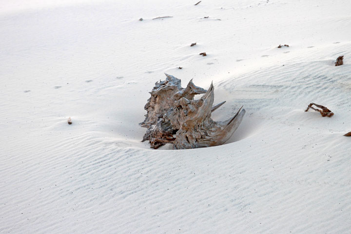 Moreton Island