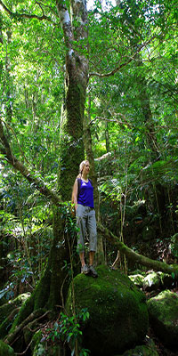 Bronwen in the rainforest, Lamington National Park