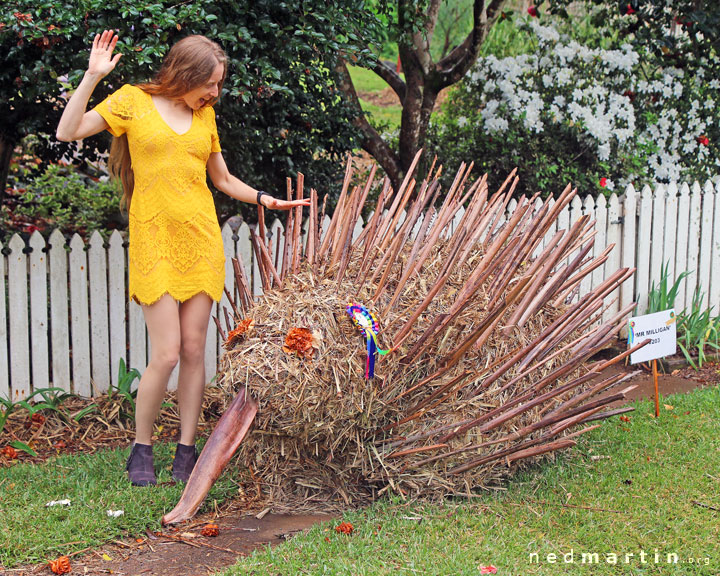 Bronwen at the Tamborine Mountain Scarecrow Festival