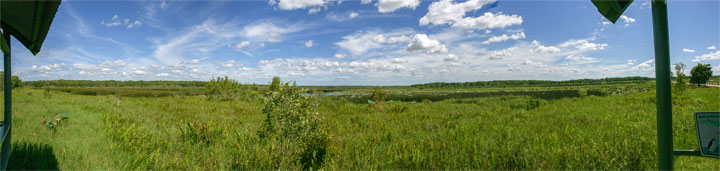 Fogg Dam Conservation Reserve, Northern Territory