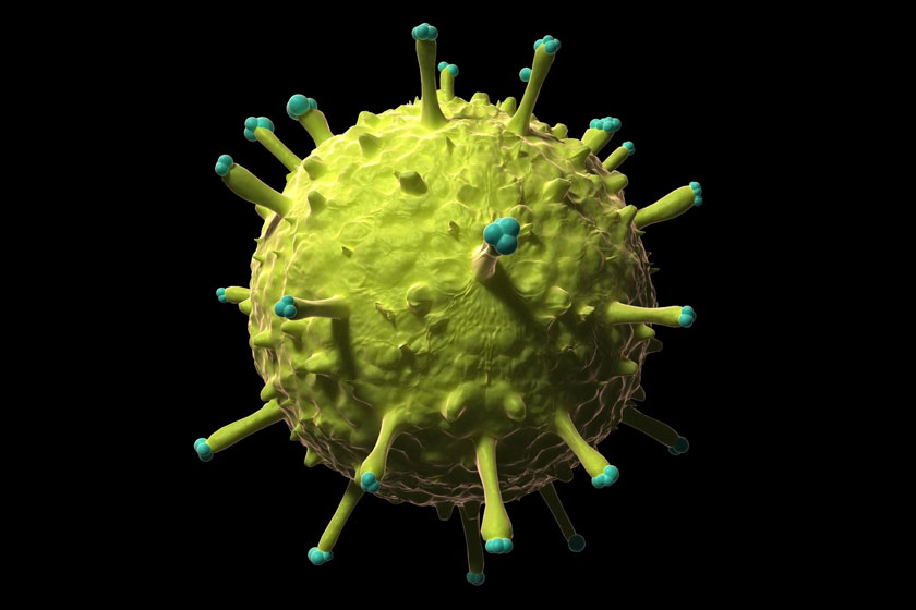 Influenza A (H1N1) virus (Swine Flu) attacking Bronwen’s back