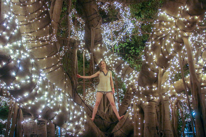 Bronwen in a lit-up tree at QUT Gardens Point