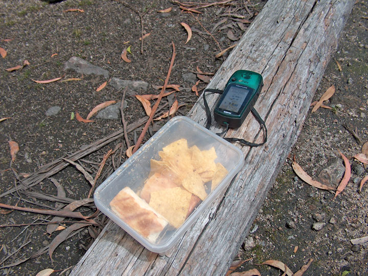 Bushwalk up Mt Barney  via South (Peasant's) Ridge