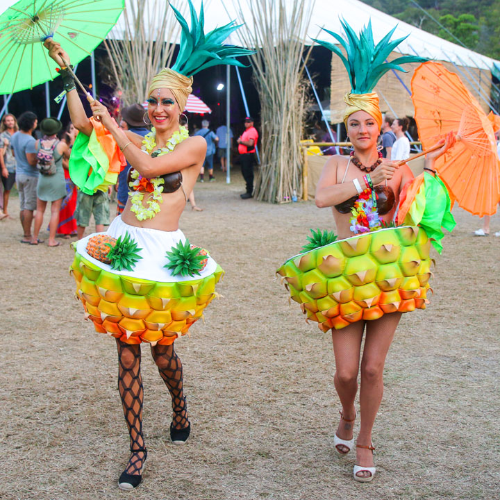 Island Vibe Festival 2019, Stradbroke Island