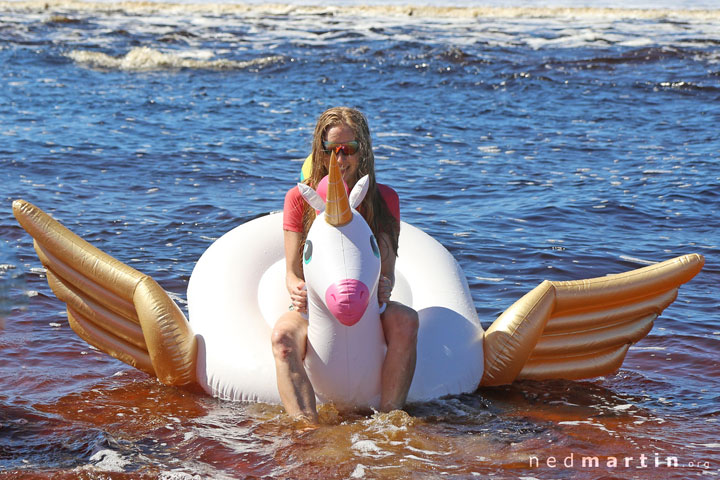 Bronwen riding to the rescue on her trusty unicorn