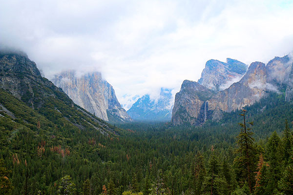 Looking down Yosemite Valley