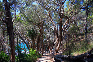 Noosa National Park