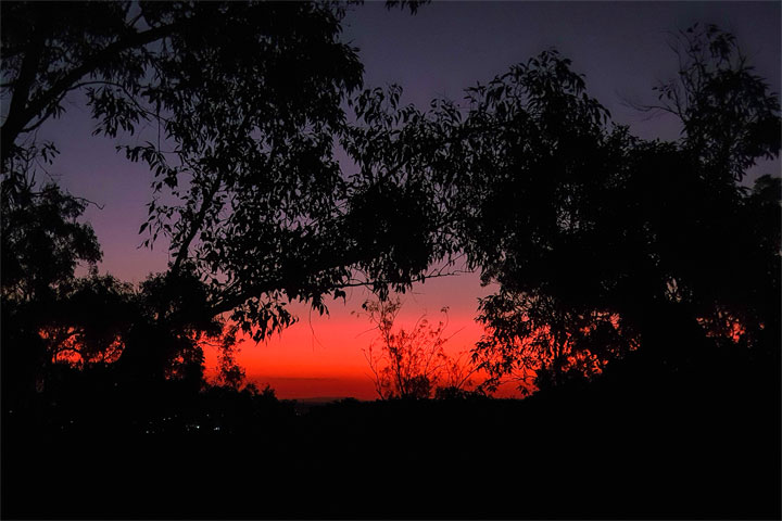 Sunset from the lookout in Toohey Forest