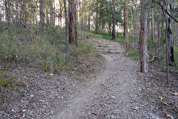 Walking up Mount Gravatt