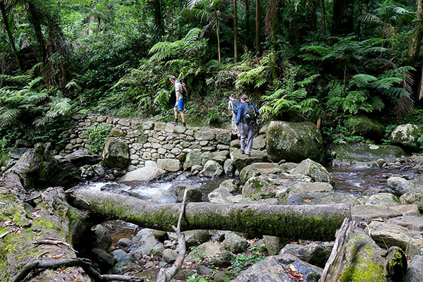 One o fthe better creek crossings