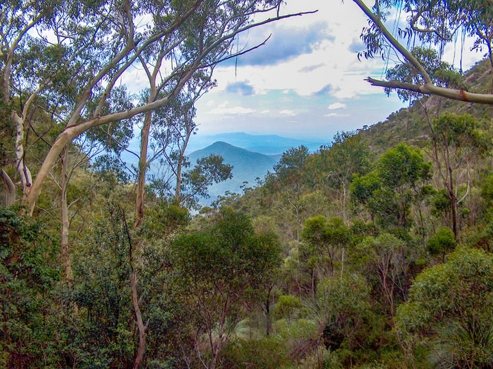 Bushwalk up Mt Barney  via South (Peasant's) Ridge