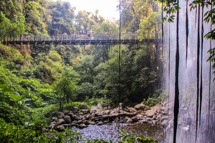 Crystal Shower Falls, Dorrigo