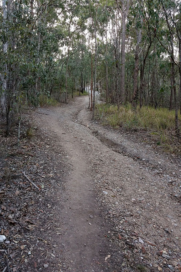 Walking up Mount Gravatt