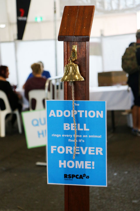 RSPCA Big Adopt Out, Brisbane Showgrounds