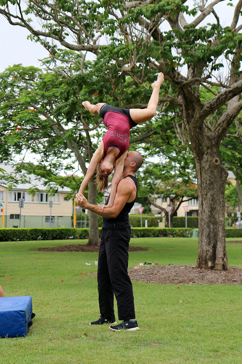 The “pet bird in the park”