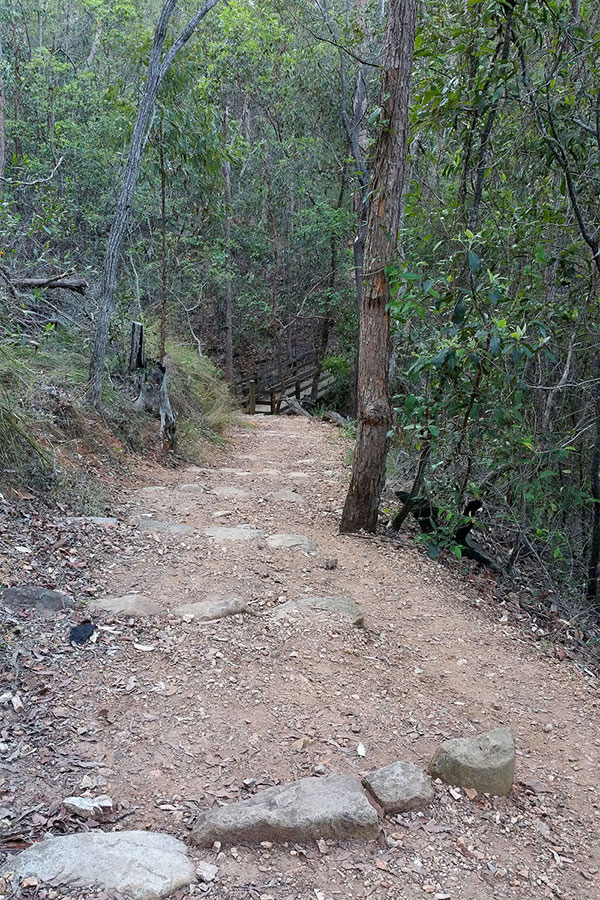 Walking up Mount Gravatt