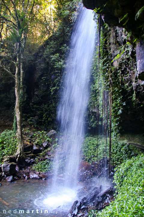 Crystal Shower Falls, Dorrigo