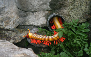 Crawly things, Sculpture by the Sea