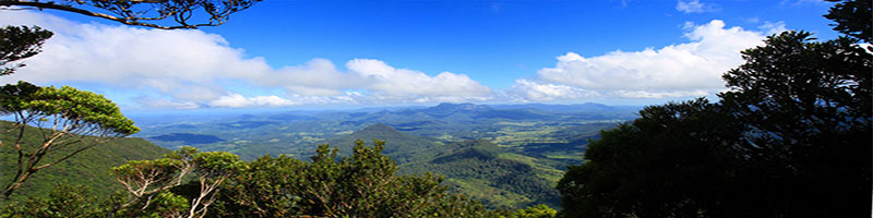 The view from the lookout