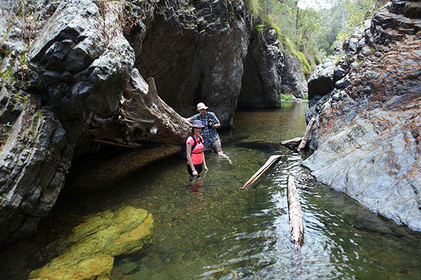 Ned & Bronwen wading through the water